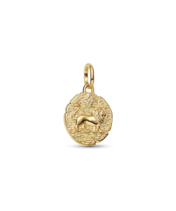 Lion Medallion Charm