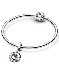 Alternative view of Massachusetts Map Dangle Charm