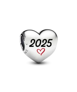 2025 Charm